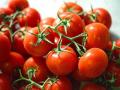pomodori_1