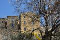 Comune_mandorlo1