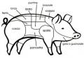 maialino