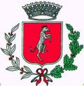 Icona Comune
