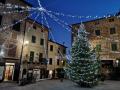 albero campiglia 2019