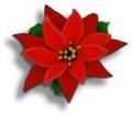 stella_natale_1